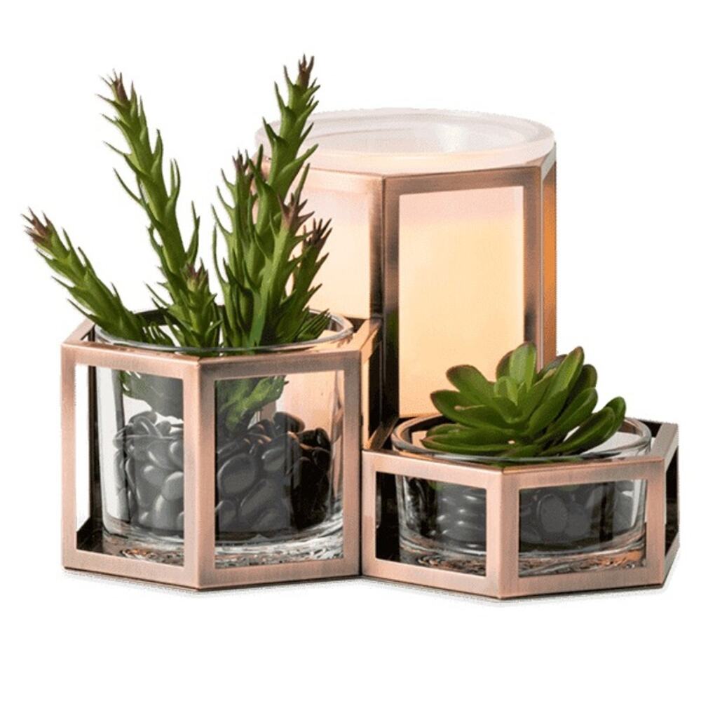 Scentsy Wild Desert Wax Warmer Succulent Plants Glow Zen Spa New in Box
